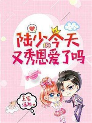 陆少今天离婚不免费阅读全文