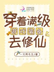 游戏穿越满级