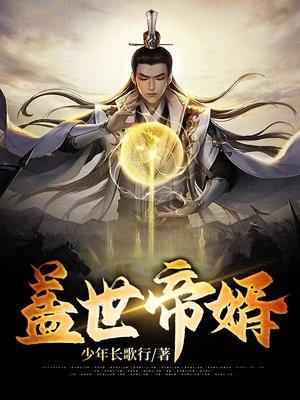 盖世帝婿叶凡结局