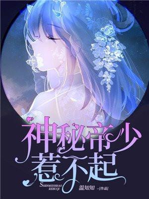 神秘帝少不好惹