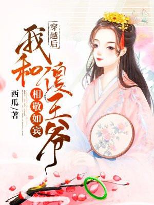 穿越后我和傻王爷相敬如宾免费