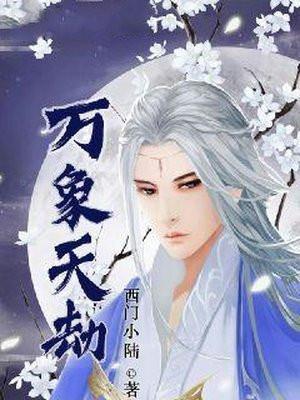 万象天劫境界划分 万象天劫境界划分