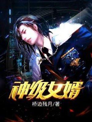 神级女婿免费阅读