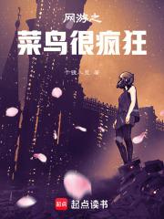 网游之菜鸟很疯狂有男主吗