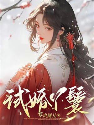 试婚丫鬟和驸马的