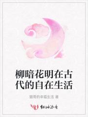 柳暗花明属于什么故事