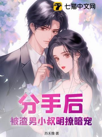 贺总是谁