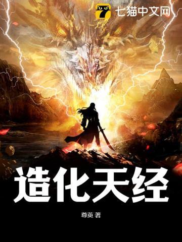 造化天经境界化分