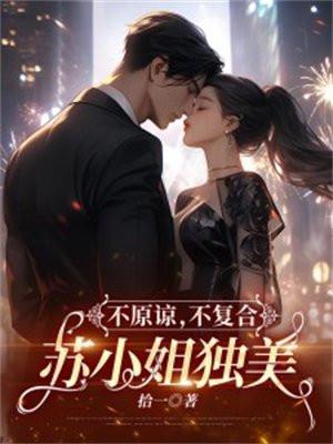 不原谅不复合苏小姐独美全文阅读txt