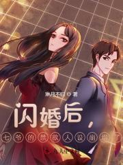 闪婚蜜爱七爷的心尖宠无弹窗