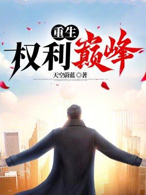 重生权利巅峰从基础公务员