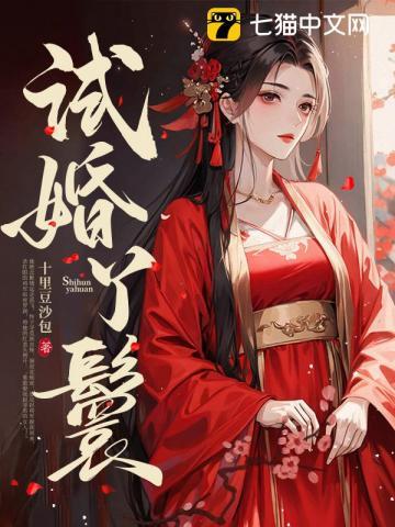 试婚丫鬟 锦鸢