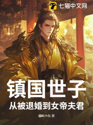 镇国王妃免费阅读全文书包网