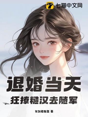 退婚txt
