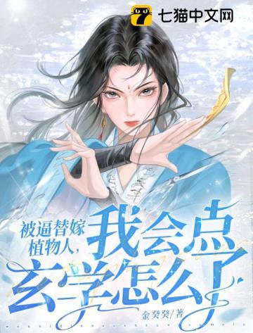 夫人回来了