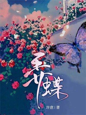 弄蝶科有哪些品种