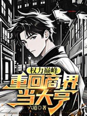 权力巅峰主角