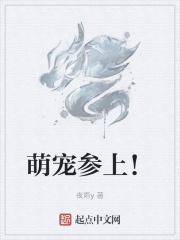 萌宠blog