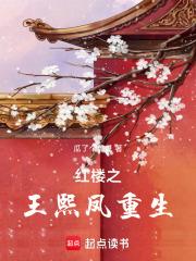 红楼王熙凤重生文