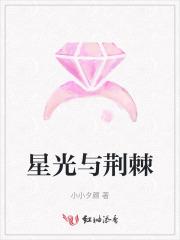 荆棘丛中看见星光