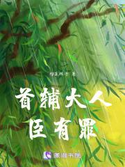 首辅大人官职