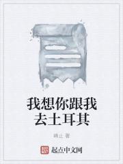 我想和你一起去浪漫的土耳其