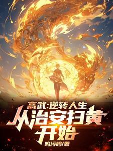 从治安扫黄开始TXT