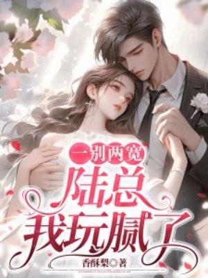 陆总我玩腻了书旗