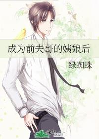 成为前夫哥的姨娘后作者绿蜘蛛