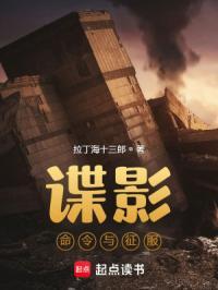 谍影命令与征服txt全文免费阅读