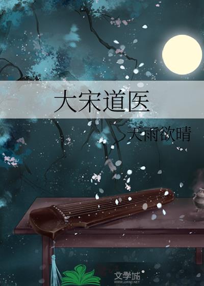 大宋道医无防盗