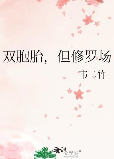 双胞胎番外