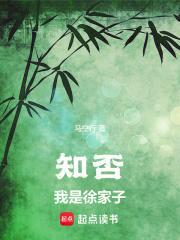 知否我是徐家子起点中文网
