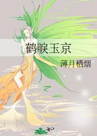 鹤唳玉京有声书