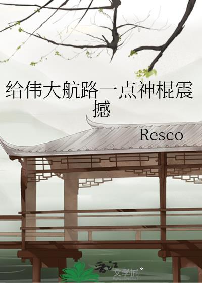 伟大航路设定