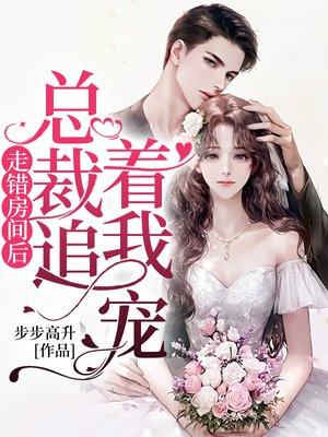 总裁走错房间电视剧