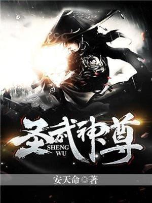 圣武神尊完整版