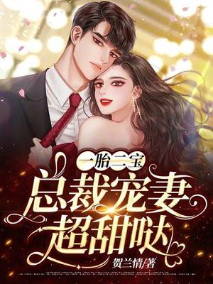 一胎俩宝总裁宠妻火辣