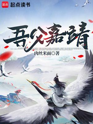 吾父嘉靖无防盗
