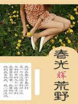 春光耀荒野
