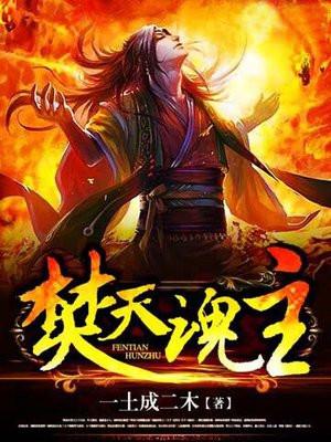 焚天魂主笔趣阁