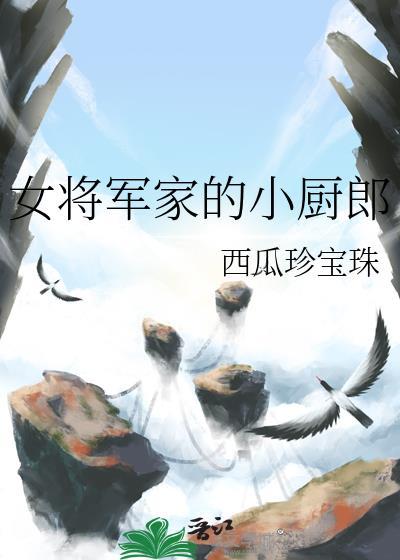 女将军的小夫郎