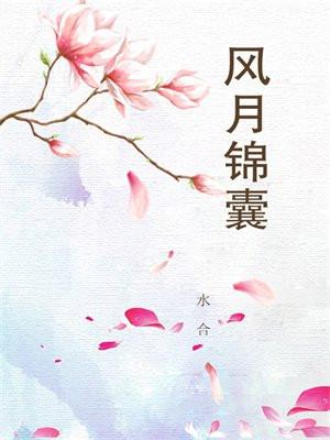 风月锦囊开机杀青时间