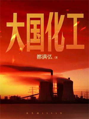 大国化工的前世今生