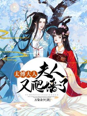 太傅大人要冷静墨妍湮