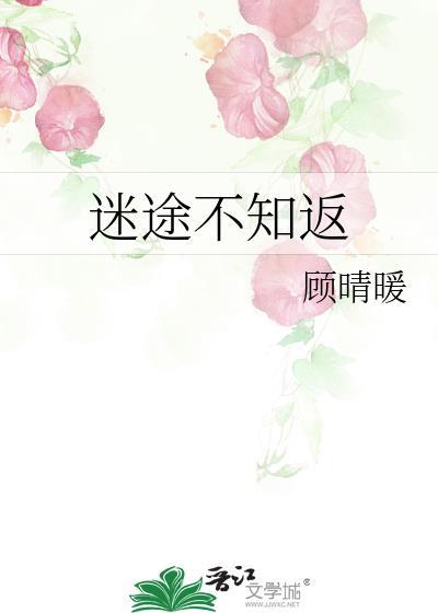 迷途不知返顾晴暖免费阅读