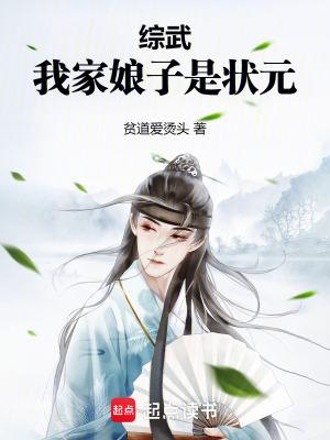 综武我家娘子是状元作者贫道爱烫头