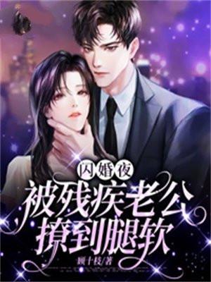 闪婚老公的