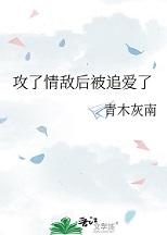 攻了情敌后被追爱了作者青木灰南