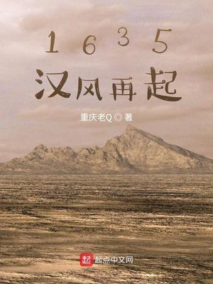 1635汉风再起完整版